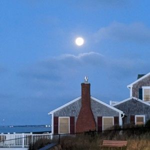 Meet your Posher, Mary